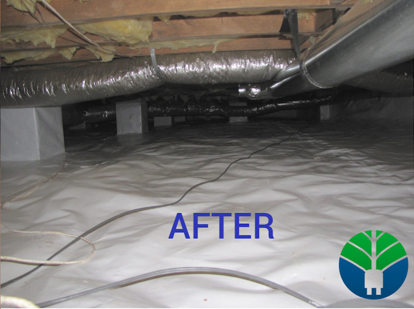 Woodfin Crawlspace Encapsulation (Before & After)